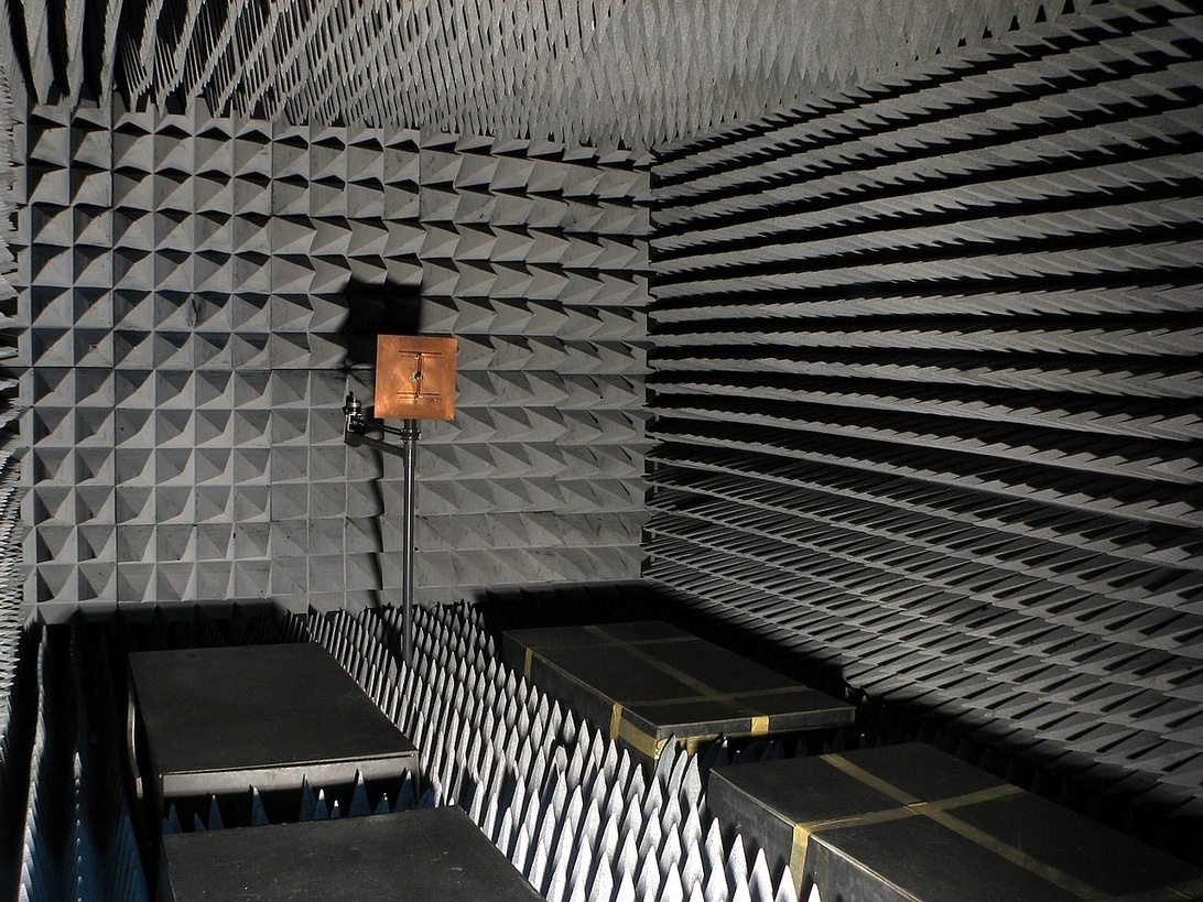 Installation d'art sonore immersive avec des oiseaux dans une volière équipée d'instruments.